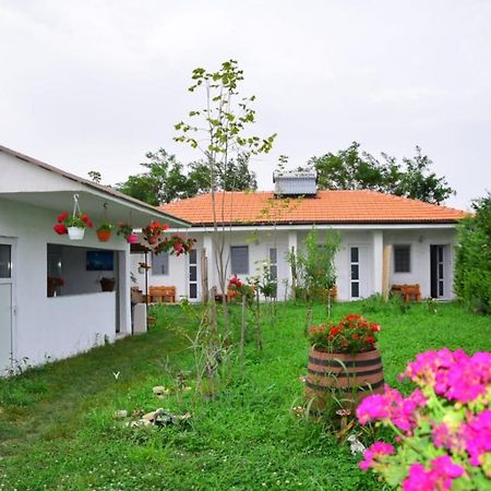 Casa Gyomar Hotel Vama Veche Luaran gambar
