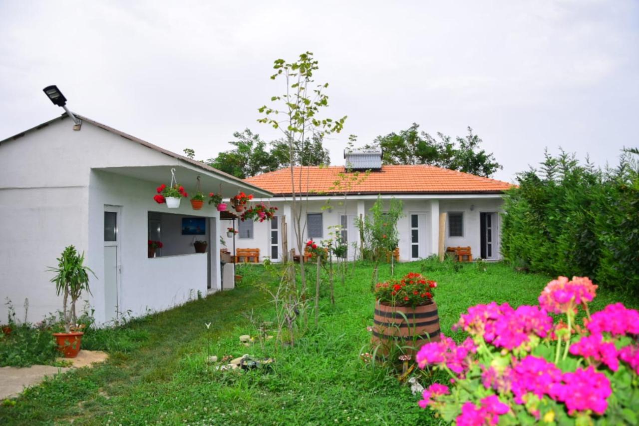 Casa Gyomar Hotel Vama Veche Luaran gambar